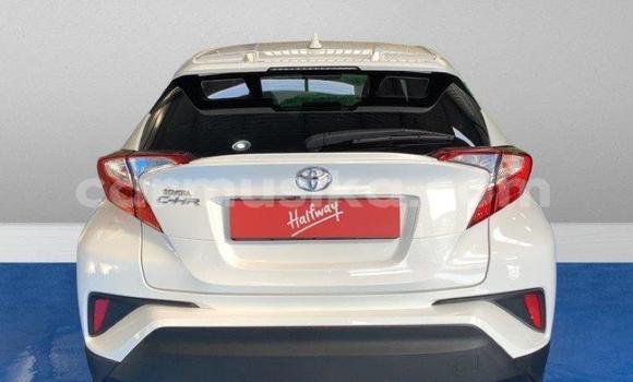 Acheter Occasion Voiture Toyota C-HR Blanc à Harare, Harare Acheter Occasion Voiture Toyota C-HR Blanc à Harare, Harare