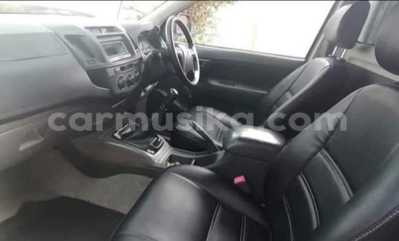 Tenga Tsaru Toyota Hilux Chena Mota in Beitbridge in Matabeleland South Tenga Tsaru Toyota Hilux Chena Mota in Beitbridge in Matabeleland South