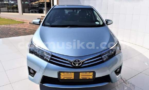 Nunua Ilio tumika Toyota Corolla Bluu Gari ndani ya Bulawayo nchini Bulawayo