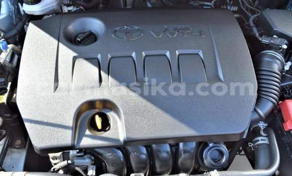 Tenga Tsaru Toyota Corolla Bhuruu Mota in Bulawayo in Bulawayo Tenga Tsaru Toyota Corolla Bhuruu Mota in Bulawayo in Bulawayo