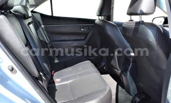 Tenga Tsaru Toyota Corolla Bhuruu Mota in Bulawayo in Bulawayo Tenga Tsaru Toyota Corolla Bhuruu Mota in Bulawayo in Bulawayo