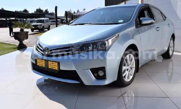 Tenga Tsaru Toyota Corolla Bhuruu Mota in Bulawayo in Bulawayo Tenga Tsaru Toyota Corolla Bhuruu Mota in Bulawayo in Bulawayo