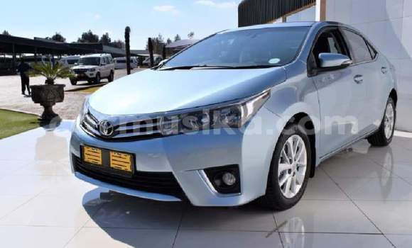 Tenga Tsaru Toyota Corolla Bhuruu Mota in Bulawayo in Bulawayo Tenga Tsaru Toyota Corolla Bhuruu Mota in Bulawayo in Bulawayo