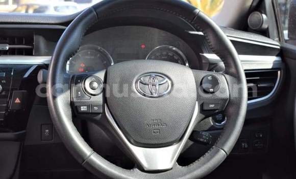 Tenga Tsaru Toyota Corolla Bhuruu Mota in Bulawayo in Bulawayo Tenga Tsaru Toyota Corolla Bhuruu Mota in Bulawayo in Bulawayo