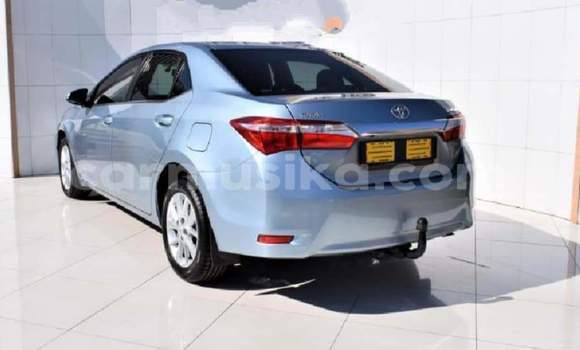 Tenga Tsaru Toyota Corolla Bhuruu Mota in Bulawayo in Bulawayo Tenga Tsaru Toyota Corolla Bhuruu Mota in Bulawayo in Bulawayo