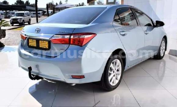 Tenga Tsaru Toyota Corolla Bhuruu Mota in Bulawayo in Bulawayo Tenga Tsaru Toyota Corolla Bhuruu Mota in Bulawayo in Bulawayo