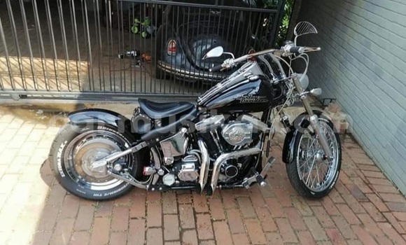 Tenga Tsaru Harley Davidson VR 1000 Nhema Bike in Beitbridge in Matabeleland South