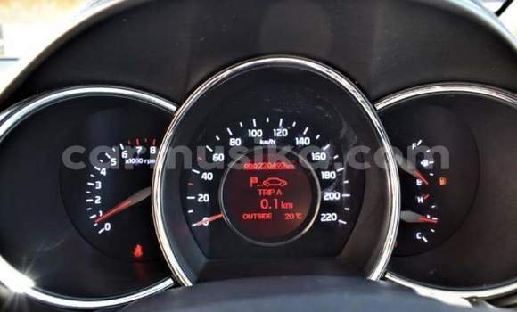 Tenga Tsaru Kia Rio Chena Mota in Bulawayo in Bulawayo Tenga Tsaru Kia Rio Chena Mota in Bulawayo in Bulawayo