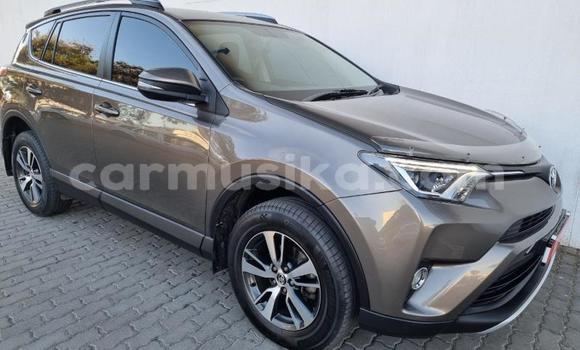 Tenga Tsaru Toyota RAV4 Sirivha Mota in Beitbridge in Matabeleland South