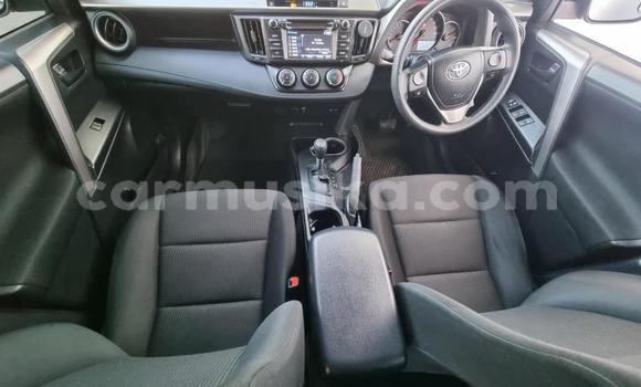 Acheter Occasion Voiture Toyota RAV4 Gris à Beitbridge, Matabeleland South Acheter Occasion Voiture Toyota RAV4 Gris à Beitbridge, Matabeleland South