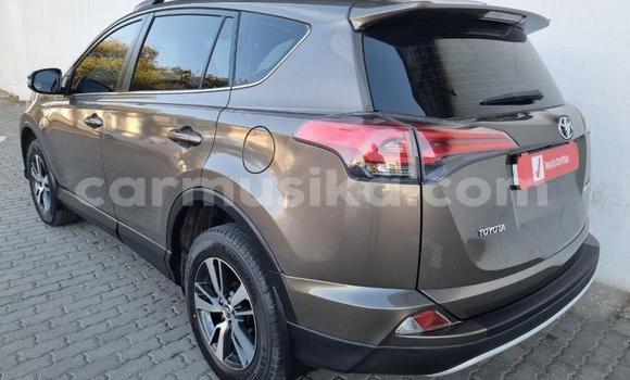 Acheter Occasion Voiture Toyota RAV4 Gris à Beitbridge, Matabeleland South Acheter Occasion Voiture Toyota RAV4 Gris à Beitbridge, Matabeleland South