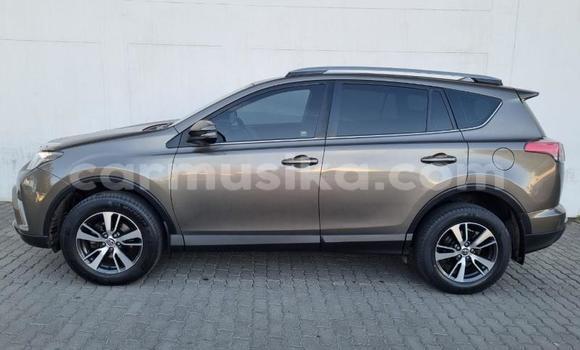 Acheter Occasion Voiture Toyota RAV4 Gris à Beitbridge, Matabeleland South Acheter Occasion Voiture Toyota RAV4 Gris à Beitbridge, Matabeleland South