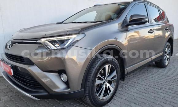 Acheter Occasion Voiture Toyota RAV4 Gris à Beitbridge, Matabeleland South Acheter Occasion Voiture Toyota RAV4 Gris à Beitbridge, Matabeleland South