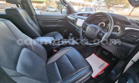 Tenga Tsaru Toyota Hilux Chena Mota in Beitbridge in Matabeleland South Tenga Tsaru Toyota Hilux Chena Mota in Beitbridge in Matabeleland South