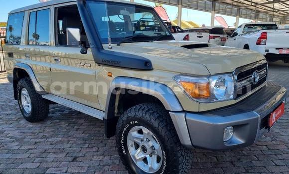 Acheter Occasion Voiture Toyota Land Cruiser Gris à Beitbridge, Matabeleland South