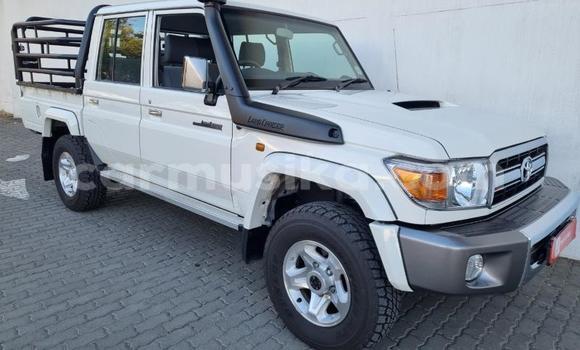Tenga Tsaru Toyota Land Cruiser Sirivha Mota in Beitbridge in Matabeleland South