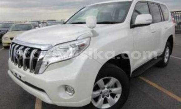 Tenga Tsaru Toyota Land Cruiser Prado Chena Mota in Beitbridge in Matabeleland South