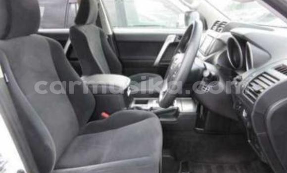 Tenga Tsaru Toyota Land Cruiser Prado Chena Mota in Beitbridge in Matabeleland South Tenga Tsaru Toyota Land Cruiser Prado Chena Mota in Beitbridge in Matabeleland South