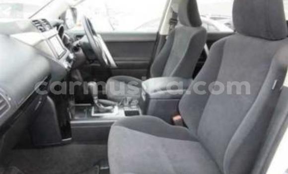 Tenga Tsaru Toyota Land Cruiser Prado Chena Mota in Beitbridge in Matabeleland South Tenga Tsaru Toyota Land Cruiser Prado Chena Mota in Beitbridge in Matabeleland South