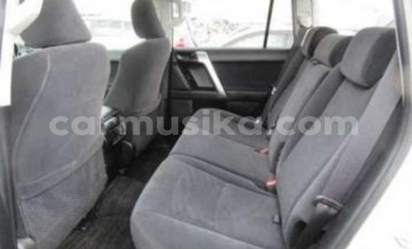 Tenga Tsaru Toyota Land Cruiser Prado Chena Mota in Beitbridge in Matabeleland South Tenga Tsaru Toyota Land Cruiser Prado Chena Mota in Beitbridge in Matabeleland South