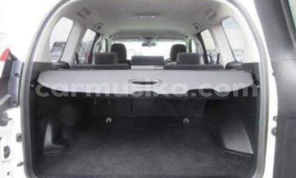 Tenga Tsaru Toyota Land Cruiser Prado Chena Mota in Beitbridge in Matabeleland South Tenga Tsaru Toyota Land Cruiser Prado Chena Mota in Beitbridge in Matabeleland South