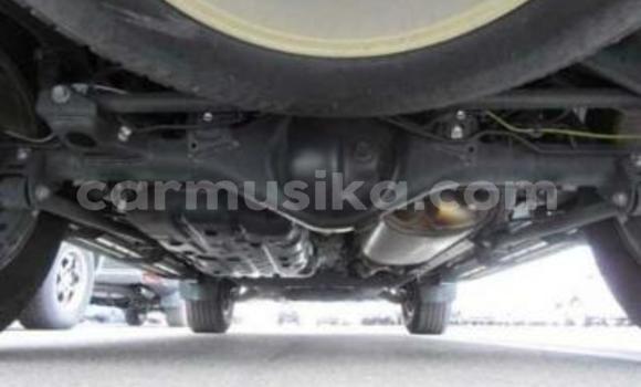 Tenga Tsaru Toyota Land Cruiser Prado Chena Mota in Beitbridge in Matabeleland South Tenga Tsaru Toyota Land Cruiser Prado Chena Mota in Beitbridge in Matabeleland South