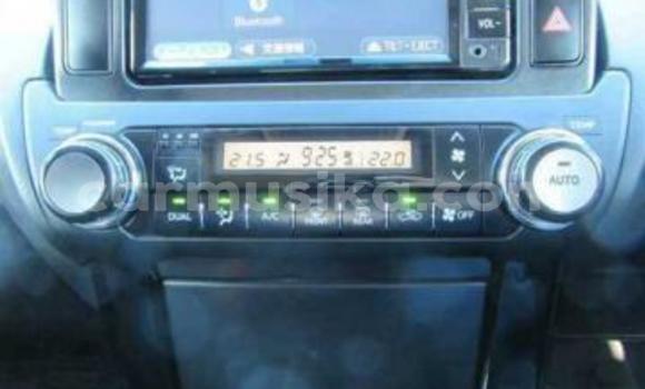 Tenga Tsaru Toyota Land Cruiser Prado Chena Mota in Beitbridge in Matabeleland South Tenga Tsaru Toyota Land Cruiser Prado Chena Mota in Beitbridge in Matabeleland South