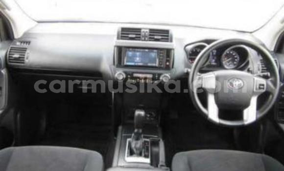 Tenga Tsaru Toyota Land Cruiser Prado Chena Mota in Beitbridge in Matabeleland South Tenga Tsaru Toyota Land Cruiser Prado Chena Mota in Beitbridge in Matabeleland South