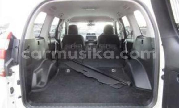 Tenga Tsaru Toyota Land Cruiser Prado Chena Mota in Beitbridge in Matabeleland South Tenga Tsaru Toyota Land Cruiser Prado Chena Mota in Beitbridge in Matabeleland South