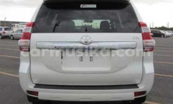 Tenga Tsaru Toyota Land Cruiser Prado Chena Mota in Beitbridge in Matabeleland South Tenga Tsaru Toyota Land Cruiser Prado Chena Mota in Beitbridge in Matabeleland South