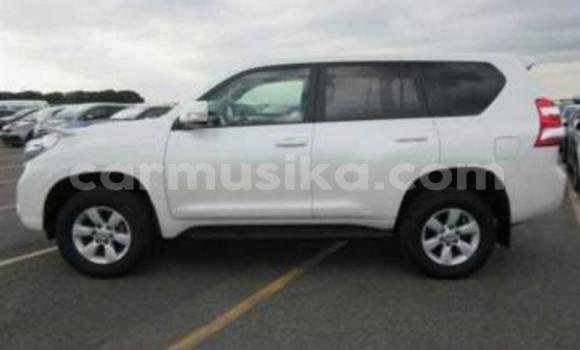 Tenga Tsaru Toyota Land Cruiser Prado Chena Mota in Beitbridge in Matabeleland South Tenga Tsaru Toyota Land Cruiser Prado Chena Mota in Beitbridge in Matabeleland South