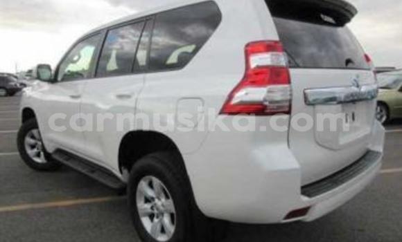 Tenga Tsaru Toyota Land Cruiser Prado Chena Mota in Beitbridge in Matabeleland South Tenga Tsaru Toyota Land Cruiser Prado Chena Mota in Beitbridge in Matabeleland South