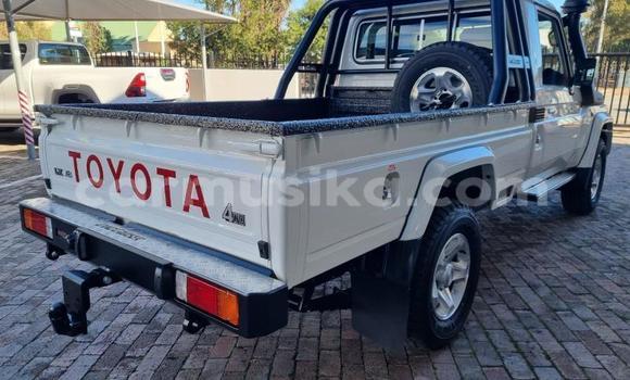 Tenga Tsaru Toyota Land Cruiser Chena Mota in Beitbridge in Matabeleland South Tenga Tsaru Toyota Land Cruiser Chena Mota in Beitbridge in Matabeleland South