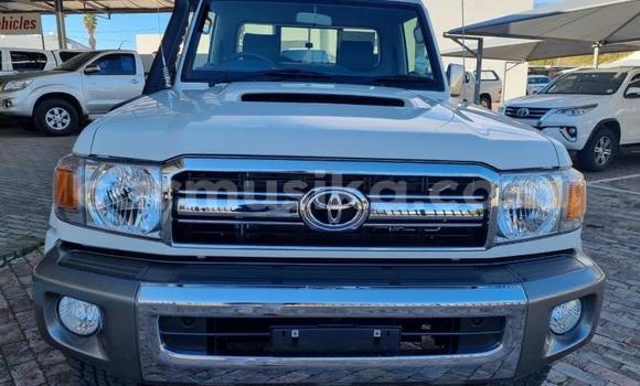 Tenga Tsaru Toyota Land Cruiser Chena Mota in Beitbridge in Matabeleland South Tenga Tsaru Toyota Land Cruiser Chena Mota in Beitbridge in Matabeleland South