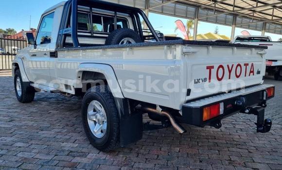 Tenga Tsaru Toyota Land Cruiser Chena Mota in Beitbridge in Matabeleland South Tenga Tsaru Toyota Land Cruiser Chena Mota in Beitbridge in Matabeleland South