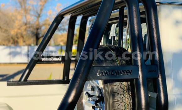 Tenga Tsaru Toyota Land Cruiser Sirivha Mota in Beitbridge in Matabeleland South Tenga Tsaru Toyota Land Cruiser Sirivha Mota in Beitbridge in Matabeleland South