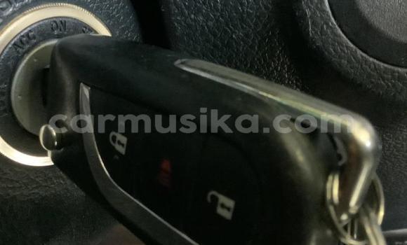 Tenga Tsaru Toyota Hilux Chena Mota in Beitbridge in Matabeleland South Tenga Tsaru Toyota Hilux Chena Mota in Beitbridge in Matabeleland South