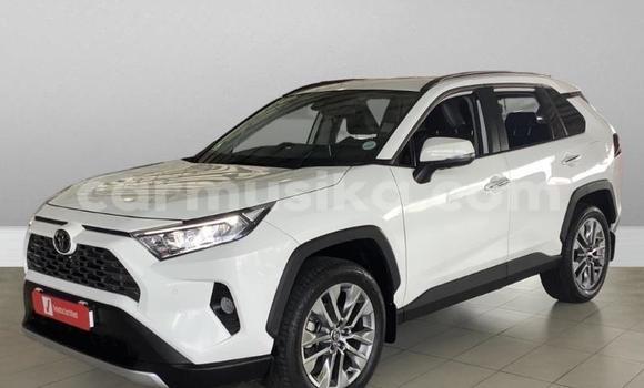 Buy Used Toyota RAV4 White Car in Beitbridge in Matabeleland South