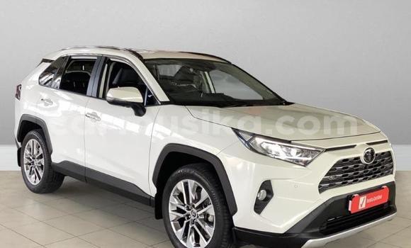 Acheter Occasion Voiture Toyota RAV4 Blanc à Beitbridge, Matabeleland South Acheter Occasion Voiture Toyota RAV4 Blanc à Beitbridge, Matabeleland South