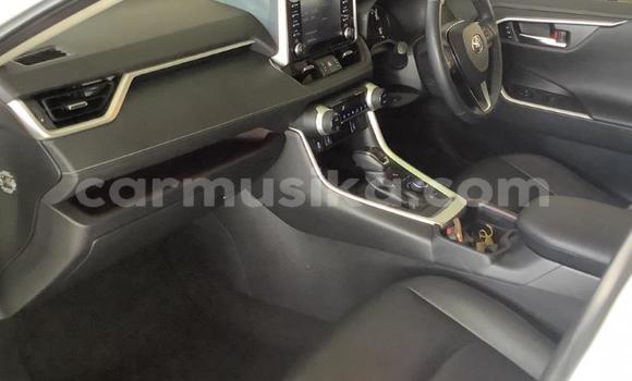 Acheter Occasion Voiture Toyota RAV4 Blanc à Beitbridge, Matabeleland South Acheter Occasion Voiture Toyota RAV4 Blanc à Beitbridge, Matabeleland South