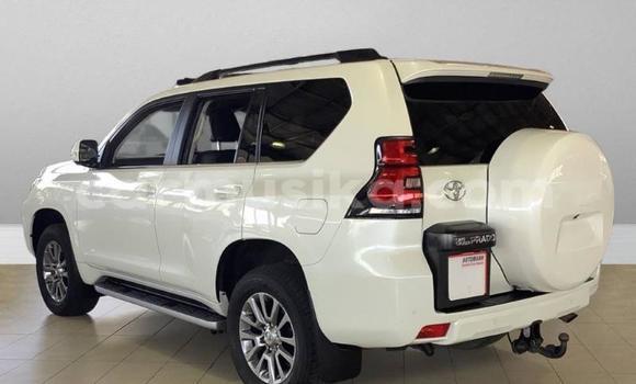 Acheter Occasion Voiture Toyota Land Cruiser Prado Blanc à Beitbridge, Matabeleland South Acheter Occasion Voiture Toyota Land Cruiser Prado Blanc à Beitbridge, Matabeleland South