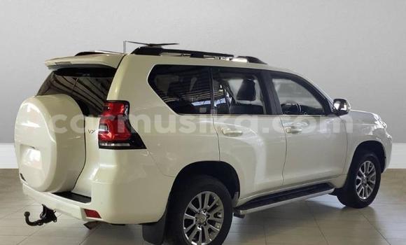 Acheter Occasion Voiture Toyota Land Cruiser Prado Blanc à Beitbridge, Matabeleland South Acheter Occasion Voiture Toyota Land Cruiser Prado Blanc à Beitbridge, Matabeleland South