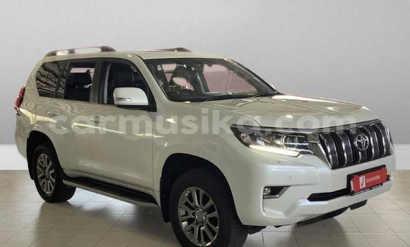 Acheter Occasion Voiture Toyota Land Cruiser Prado Blanc à Beitbridge, Matabeleland South Acheter Occasion Voiture Toyota Land Cruiser Prado Blanc à Beitbridge, Matabeleland South