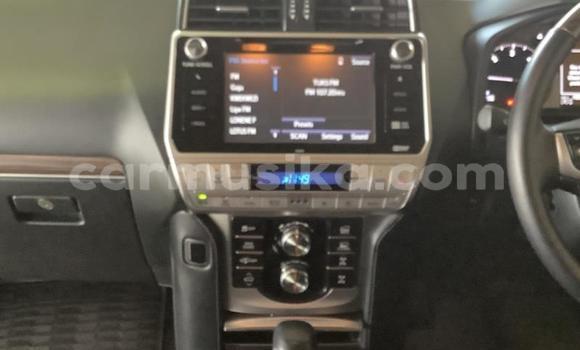 Acheter Occasion Voiture Toyota Land Cruiser Prado Blanc à Beitbridge, Matabeleland South Acheter Occasion Voiture Toyota Land Cruiser Prado Blanc à Beitbridge, Matabeleland South