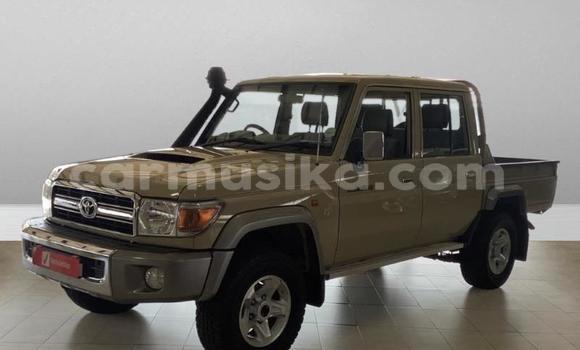 Acheter Occasion Voiture Toyota Land Cruiser Gris à Beitbridge, Matabeleland South
