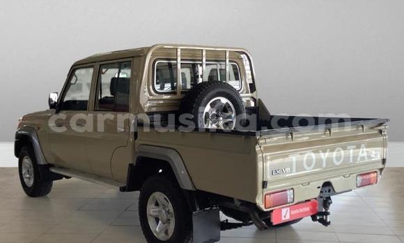 Tenga Tsaru Toyota Land Cruiser Sirivha Mota in Beitbridge in Matabeleland South Tenga Tsaru Toyota Land Cruiser Sirivha Mota in Beitbridge in Matabeleland South