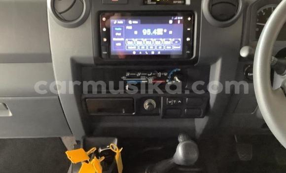 Acheter Occasion Voiture Toyota Land Cruiser Gris à Beitbridge, Matabeleland South Acheter Occasion Voiture Toyota Land Cruiser Gris à Beitbridge, Matabeleland South