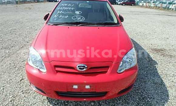 Buy Used Toyota Runx Red Car in Beitbridge in Matabeleland South