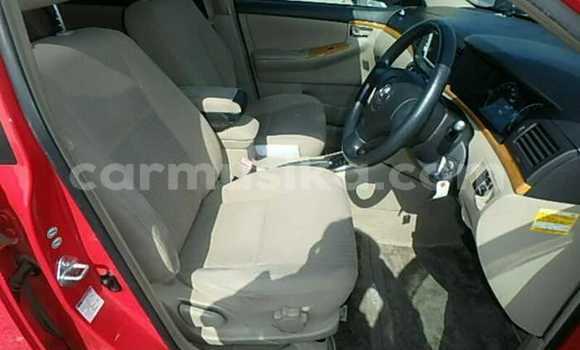 Acheter Occasion Voiture Toyota Runx Rouge à Beitbridge, Matabeleland South Acheter Occasion Voiture Toyota Runx Rouge à Beitbridge, Matabeleland South