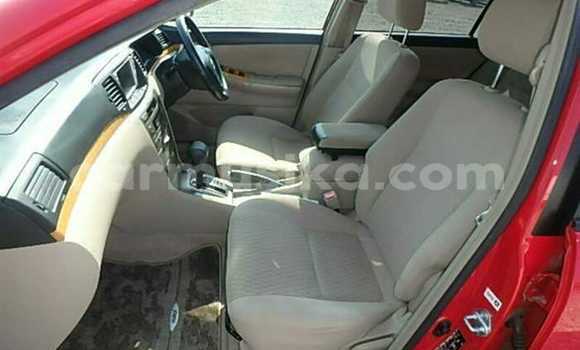 Acheter Occasion Voiture Toyota Runx Rouge à Beitbridge, Matabeleland South Acheter Occasion Voiture Toyota Runx Rouge à Beitbridge, Matabeleland South